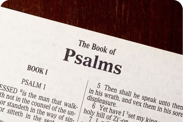 The book of Psalms.