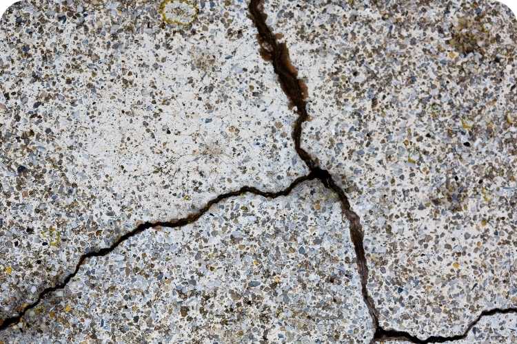 Cracks in the pavement.